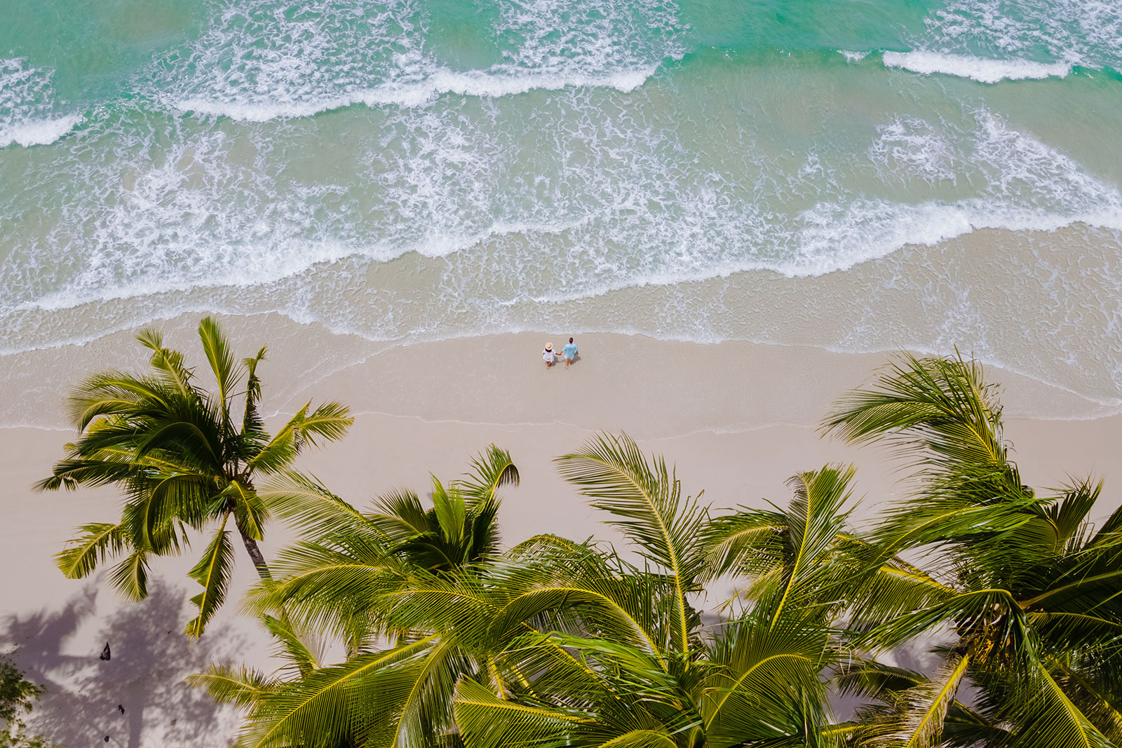 Aerial view of a turquoise Punta Cana beach with palm trees